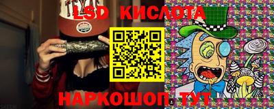 прущие грибы Будённовск