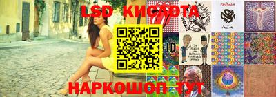 прущие грибы Будённовск
