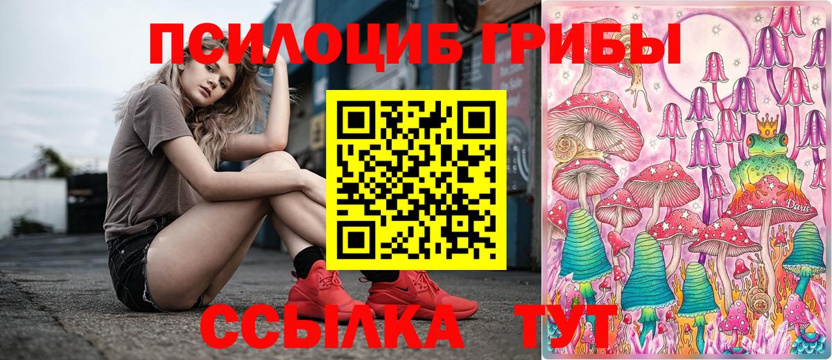 Псилоцибиновые грибы Cubensis Арсеньев