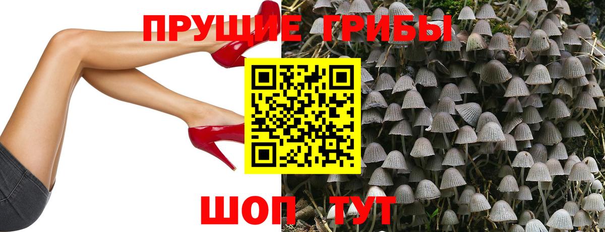 Арсеньев  Галлюциногенные грибы GOLDEN TEACHER  Вход с VPN 